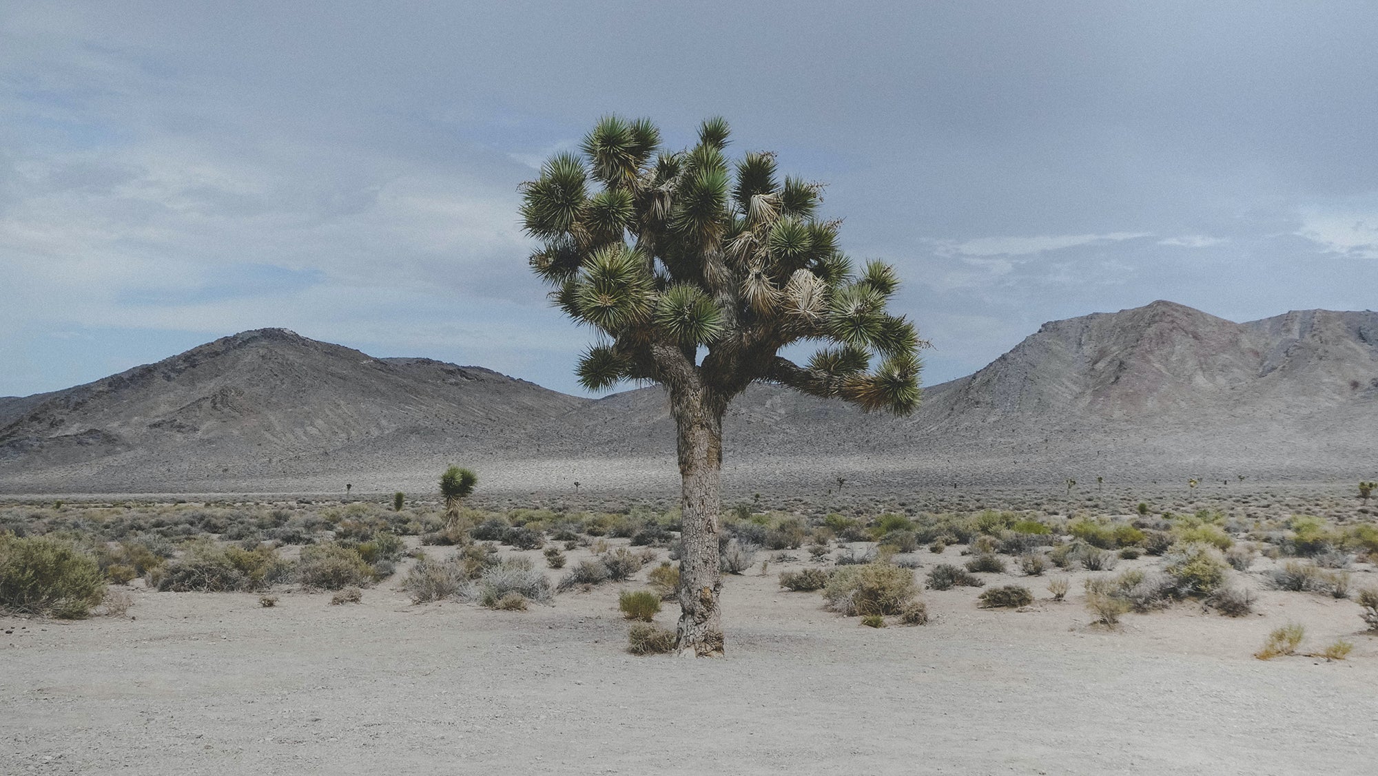 Mojave Desert, California